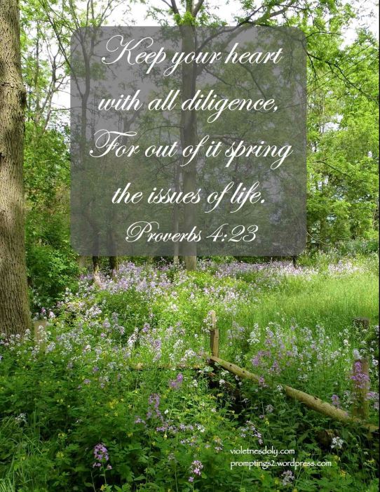 Proverbs 4:23 against a wildflower woodland