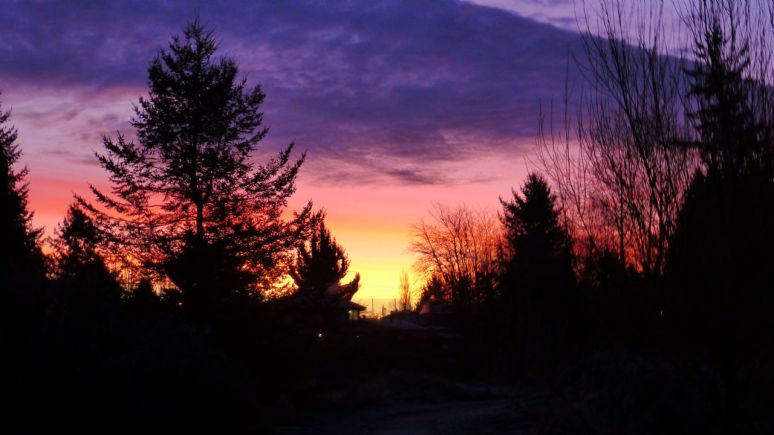 Morning gilds the sky (Photo © 2015 by V. Nesdoly)